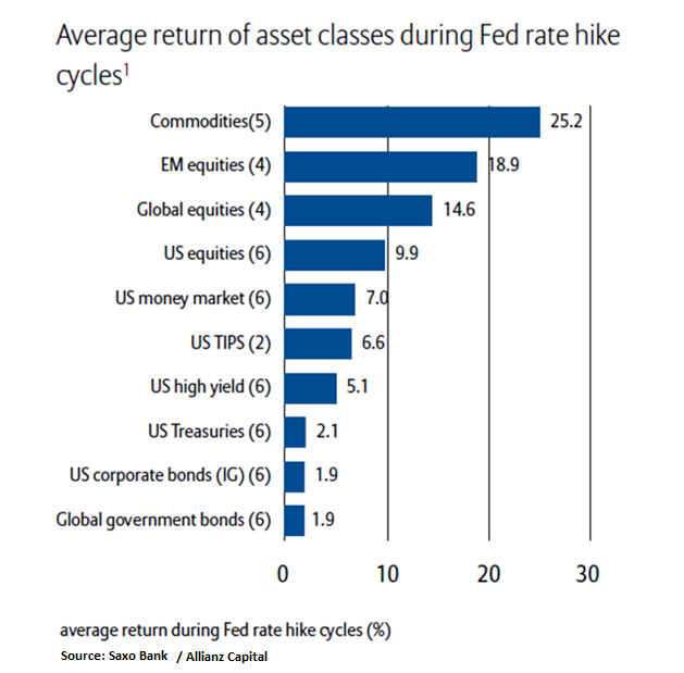 Asset class returns during rate hike cycles!